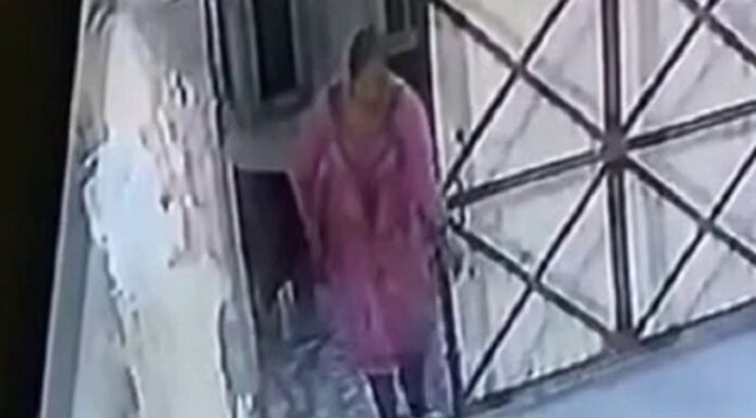 ਲੁਧਿਆਣਾ ‘ਚ ਔਰਤ ਨੇ ਕਤੂਰੇ ਨੂੰ ਬੇਰਹਿਮੀ ਨਾਲ ਮਾਰੀਆਂ ਲੱਤਾਂ, ਵੀਡੀਓ ਵਾਇਰਲ