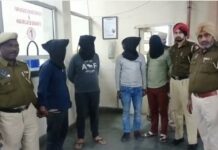 ਜਲਦੀ ਅਮੀਰ ਬਣਨ ਦੇ ਚੱਕਰ ‘ਚ ਚਾਰ ਦੋਸਤ ਇਨੋਵਾ ‘ਚ ਵੇਚਦੇ ਸਨ ਨਸ਼ਾ, 30 ਕਿੱਲੋ ਗਾਂਜੇ ਸਣੇ ਕਾਬੂ