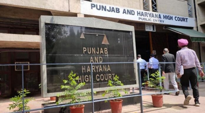 ਬੈਂਕ ਦੇ ਕੈਸ਼ੀਅਰ ਨੇ ਹੀ ਮ੍ਰਿਤਕ ਔਰਤ ਦੇ ਖਾਤੇ ‘ਚੋਂ ਕੱਢਵਾਏ 46 ਲੱਖ, ਹਾਈਕੋਰਟ ਵਲੋਂ ਮੁਲਜ਼ਮ ਦੀ ਜ਼ਮਾਨਤ ਪਟੀਸ਼ਨ ਖਾਰਜ