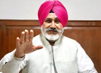 ਵਿਦੇਸ਼ਾਂ ਨੂੰ ਵੀ ਸਪਲਾਈ ਹੋਣਗੀਆਂ ਪੰਜਾਬ ਦੀਆਂ ਮਿਰਚਾਂ