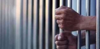 ਨਾਭਾ ਤੋਂ ਬਾਅਦ ਪਟਿਆਲਾ ਜੇਲ ‘ਚ ਫੈਲਿਆ ਕਾਲਾ ਪੀਲੀਆ, 217 ਕੈਦੀ ਲਪੇਟ ‘ਚ