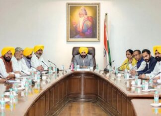 ਕੈਬਨਿਟ ਦਾ ਫੈਸਲਾ : ਗਊਸ਼ਾਲਾਵਾਂ ਦੇ 31 ਅਕਤੂਬਰ ਤੱਕ ਦੇ ਬਿਜਲੀ ਬਿੱਲਾਂ ਦੇ ਬਕਾਏ ਮੁਆਫ਼