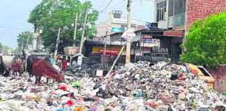 ਅਹਿਮ ਖਬਰ : ਪੰਜਾਬ ਨੂੰ ਕੂੜੇ ਦੇ ਢੇਰਾਂ ਤੋਂ ਮਿਲੇਗੀ ਆਜ਼ਾਦੀ, NGT ਦੀ ਸਖਤੀ ਬਾਅਦ ਸਰਕਾਰ ਨੇ ਚੁੱਕਿਆ ਸਖਤ ਕਦਮ