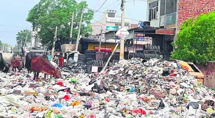 ਅਹਿਮ ਖਬਰ : ਪੰਜਾਬ ਨੂੰ ਕੂੜੇ ਦੇ ਢੇਰਾਂ ਤੋਂ ਮਿਲੇਗੀ ਆਜ਼ਾਦੀ, NGT ਦੀ ਸਖਤੀ ਬਾਅਦ ਸਰਕਾਰ ਨੇ ਚੁੱਕਿਆ ਸਖਤ ਕਦਮ