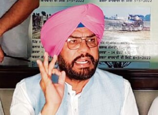 ਮਾਨ ਸਰਕਾਰ ਐਨਆਰਆਈ ਪੰਜਾਬੀਆਂ ਦੇ ਮਸਲਿਆਂ ਤੇ ਸ਼ਿਕਾਇਤਾਂ ਨੂੰ ਜਲਦੀ ਕਰੇਗੀ ਹੱਲ : ਧਾਲੀਵਾਲ