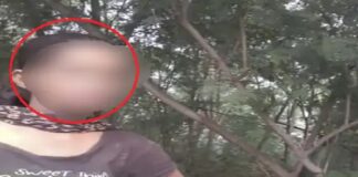 ਜਲੰਧਰ-ਲੁਧਿਆਣਾ ਹਾਈਵੇ ‘ਤੇ ਸੈਕਸ ਰੈਕੇਟ : ਜੰਗਲ ‘ਚ ਸ਼ਰੇਆਮ ਲੱਗਦੇ ਨੇ ਬਿਸਤਰ, ਪੁਲਿਸ ਵੀ ਨਾਲ ਰਲ਼ੀ