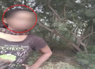 ਜਲੰਧਰ-ਲੁਧਿਆਣਾ ਹਾਈਵੇ ‘ਤੇ ਸੈਕਸ ਰੈਕੇਟ : ਜੰਗਲ ‘ਚ ਸ਼ਰੇਆਮ ਲੱਗਦੇ ਨੇ ਬਿਸਤਰ, ਪੁਲਿਸ ਵੀ ਨਾਲ ਰਲ਼ੀ