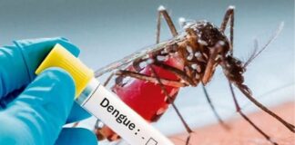 ਲੁਧਿਆਣਾ ‘ਚ ਡੇਂਗੂ ਦਾ ਕਹਿਰ ਜਾਰੀ ! 300 ਤੋਂ ਪਾਰ ਹੋਈ ਮਰੀਜ਼ਾਂ ਦੀ ਗਿਣਤੀ, ਲੋਕਾਂ ਲਈ ਐਡਵਾਈਜ਼ਰੀ ਜਾਰੀ