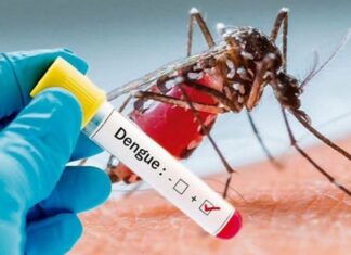 ਲੁਧਿਆਣਾ ‘ਚ ਡੇਂਗੂ ਦਾ ਕਹਿਰ ਜਾਰੀ ! 300 ਤੋਂ ਪਾਰ ਹੋਈ ਮਰੀਜ਼ਾਂ ਦੀ ਗਿਣਤੀ, ਲੋਕਾਂ ਲਈ ਐਡਵਾਈਜ਼ਰੀ ਜਾਰੀ