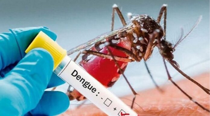 ਲੁਧਿਆਣਾ ‘ਚ ਡੇਂਗੂ ਦਾ ਕਹਿਰ, ਹਸਪਤਾਲਾਂ ‘ਚ ਵਧੀ ਮਰੀਜ਼ਾਂ ਦੀ ਭੀੜ