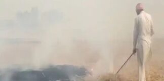 ਪਰਾਲੀ ਸਾੜਨ ਦੇ ਮਾਮਲੇ ‘ਚ CM ਦਾ ਜ਼ਿਲ੍ਹਾ ਅੱਵਲ, 452 ਥਾਵਾਂ ਤੋਂ ਉੱਠਿਆ ਧੂੰਆਂ, ਪੈਦਾ ਹੋ ਸਕਦੇ ਨੇ ਹੈਲਥ ਐਮਰਜੈਂਸੀ ਵਰਗੇ ਹਾਲਾਤ