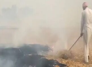 ਪਰਾਲੀ ਸਾੜਨ ਦੇ ਮਾਮਲੇ ‘ਚ CM ਦਾ ਜ਼ਿਲ੍ਹਾ ਅੱਵਲ, 452 ਥਾਵਾਂ ਤੋਂ ਉੱਠਿਆ ਧੂੰਆਂ, ਪੈਦਾ ਹੋ ਸਕਦੇ ਨੇ ਹੈਲਥ ਐਮਰਜੈਂਸੀ ਵਰਗੇ ਹਾਲਾਤ