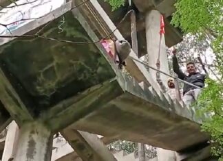 ਸਰਕਾਰ ਵਲੋਂ ਮੰਗਾਂ ਨਾ ਮੰਨੇ ਜਾਣ ‘ਤੇ ਜਲ ਸਪਲਾਈ ਅਤੇ ਸੈਨੀਟੇਸ਼ਨ ਵਿਭਾਗ ਦੇ ਕਰਮਚਾਰੀ ਟੈਂਕੀ ‘ਤੇ ਚੜ੍ਹੇ