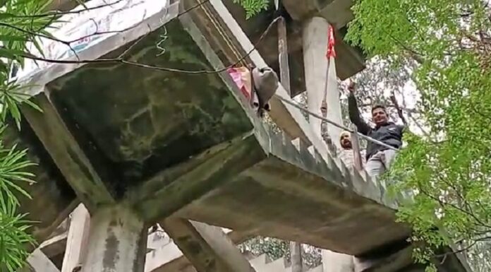 ਸਰਕਾਰ ਵਲੋਂ ਮੰਗਾਂ ਨਾ ਮੰਨੇ ਜਾਣ ‘ਤੇ ਜਲ ਸਪਲਾਈ ਅਤੇ ਸੈਨੀਟੇਸ਼ਨ ਵਿਭਾਗ ਦੇ ਕਰਮਚਾਰੀ ਟੈਂਕੀ ‘ਤੇ ਚੜ੍ਹੇ