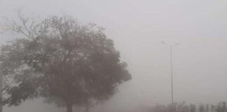 ਪੰਜਾਬ ‘ਚ ਅਗਲੇ ਹਫਤੇ ਬਦਲੇਗਾ ਮੌਸਮ ਦਾ ਮਿਜਾਜ਼, ਧੁੰਦ ਅਤੇ ਕੋਹਰਾ ਪੈਣਾ ਹੋਵੇਗਾ ਸ਼ੁਰੂ