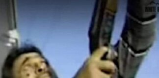 ਪੰਜਾਬ ‘ਚ ਗੰਨ ਕਲਚਰ ‘ਤੇ ਸਿਆਸੀ ਜੰਗ : ਮਜੀਠੀਆ ਨੇ ਸੀਐਮ ਦੀ ਹਥਿਆਰ ਫੜਿਆਂ ਦੀ ਫੋਟੋ ਕੀਤੀ ਜਾਰੀ, ਲਿਖਿਆ- ਮਿੱਤਰਾਂ ਨੂੰ ਸ਼ੌਕ ਹਥਿਆਰਾਂ ਦਾ