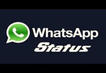 Whatsapp ਸਟੇਟਸ ਅਪਡੇਟ ’ਚ ਲਿਆ ਰਿਹਾ ਨਵਾਂ ਫੀਚਰ, ਪੜ੍ਹੋ ਕਿਵੇਂ ਕਰੇਗਾ ਕੰਮ