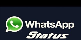Whatsapp ਸਟੇਟਸ ਅਪਡੇਟ ’ਚ ਲਿਆ ਰਿਹਾ ਨਵਾਂ ਫੀਚਰ, ਪੜ੍ਹੋ ਕਿਵੇਂ ਕਰੇਗਾ ਕੰਮ