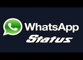 Whatsapp ਸਟੇਟਸ ਅਪਡੇਟ ’ਚ ਲਿਆ ਰਿਹਾ ਨਵਾਂ ਫੀਚਰ, ਪੜ੍ਹੋ ਕਿਵੇਂ ਕਰੇਗਾ ਕੰਮ