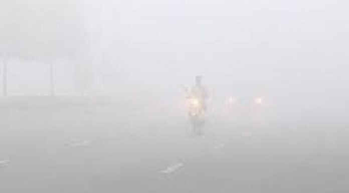 3 ਦਿਨ ਬਾਅਦ ਪੰਜਾਬ ‘ਚ ਪਵੇਗਾ ਸੰਘਣਾ ਕੋਹਰਾ, ਕੜਾਕੇ ਦੀ ਪਵੇਗੀ ਠੰਡ