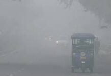 ਪਹਾੜਾਂ ‘ਤੇ ਬਰਫਬਾਰੀ ਨਾਲ ਪੰਜਾਬ ‘ਚ ਪੈ ਰਹੀ ਹੱਢ ਚੀਰਵੀਂ ਠੰਡ, ਲੋਕਾਂ ਦੀਆਂ ਵਧੀਆਂ ਮੁਸ਼ਕਲਾਂ