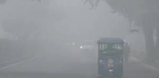 ਪਹਾੜਾਂ ‘ਤੇ ਬਰਫਬਾਰੀ ਨਾਲ ਪੰਜਾਬ ‘ਚ ਪੈ ਰਹੀ ਹੱਢ ਚੀਰਵੀਂ ਠੰਡ, ਲੋਕਾਂ ਦੀਆਂ ਵਧੀਆਂ ਮੁਸ਼ਕਲਾਂ