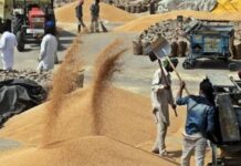 ਕਿਸਾਨਾਂ ਨੂੰ WhatsApp ਤੇ DigiLocker ਸਹੂਲਤਾਂ ਦੇਣ ਵਾਲਾ ਪਹਿਲੀ ਸਟੇਟ ਬਣਿਆ ਪੰਜਾਬ