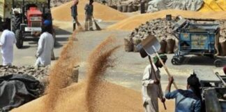 ਕਿਸਾਨਾਂ ਨੂੰ WhatsApp ਤੇ DigiLocker ਸਹੂਲਤਾਂ ਦੇਣ ਵਾਲਾ ਪਹਿਲੀ ਸਟੇਟ ਬਣਿਆ ਪੰਜਾਬ