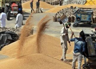 ਕਿਸਾਨਾਂ ਨੂੰ WhatsApp ਤੇ DigiLocker ਸਹੂਲਤਾਂ ਦੇਣ ਵਾਲਾ ਪਹਿਲੀ ਸਟੇਟ ਬਣਿਆ ਪੰਜਾਬ