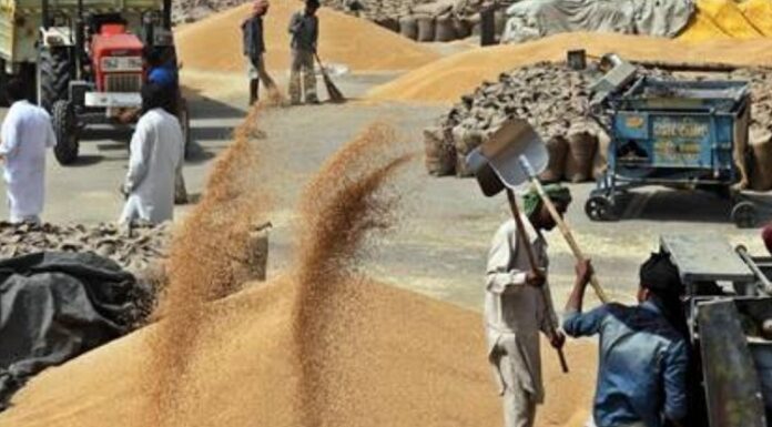 ਕਿਸਾਨਾਂ ਨੂੰ WhatsApp ਤੇ DigiLocker ਸਹੂਲਤਾਂ ਦੇਣ ਵਾਲਾ ਪਹਿਲੀ ਸਟੇਟ ਬਣਿਆ ਪੰਜਾਬ