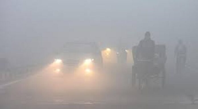 ਠੰਢ ਤੇ ਧੁੰਦ ਤੋਂ ਮਿਲੇਗੀ ਰਾਹਤ, ਕਦੋਂ ਨਿਕਲੇਗੀ ਧੁੱਪ…?, ਮੌਸਮ ਵਿਭਾਗ ਨੇ ਕੀਤੀ ਭਵਿੱਖਬਾਣੀ…