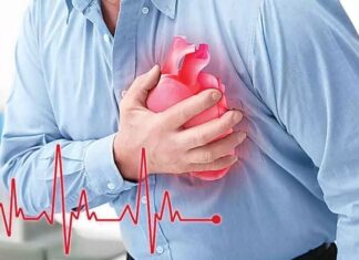 Health Alert : ਖੂਨ ਦੇ ਥੱਕੇ ਬਣਨ ਨਾਲ ਵਧ ਜਾਂਦੈ ਹਾਰਟ ਅਟੈਕ ਦਾ ਖਤਰਾ, ਅਜਿਹੇ ਸ਼ੁਰੂਆਤੀ ਲੱਛਣ ਦਿਖਾਈ ਦੇਣ ‘ਤੇ ਹੋ ਜਾਓ ਸਾਵਧਾਨ