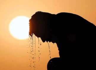 ਵਿਸ਼ਵ ਬੈਂਕ ਦੀ ਡਰਾਉਣ ਵਾਲੀ ਰਿਪੋਰਟ : ਭਾਰਤ ‘ਚ ਜਲਦੀ ਚੱਲੇਗੀ ਅਜਿਹੀ ‘ਲੂ’, ਜੋ ਇਨਸਾਨ ਦੀ ਬਰਦਾਸ਼ਤ ਤੋਂ ਹੋਵੇਗੀ ਬਾਹਰ