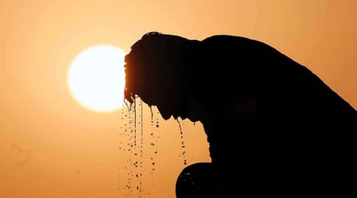 ਵਿਸ਼ਵ ਬੈਂਕ ਦੀ ਡਰਾਉਣ ਵਾਲੀ ਰਿਪੋਰਟ : ਭਾਰਤ ‘ਚ ਜਲਦੀ ਚੱਲੇਗੀ ਅਜਿਹੀ ‘ਲੂ’, ਜੋ ਇਨਸਾਨ ਦੀ ਬਰਦਾਸ਼ਤ ਤੋਂ ਹੋਵੇਗੀ ਬਾਹਰ