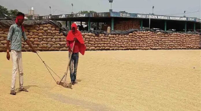 ਖੁਰਾਕ ਸਪਲਾਈ ਵਿਭਾਗ ਦੇ ਮੁਲਾਜ਼ਮ ਹੜਤਾਲ ‘ਤੇ : FCI ਨੇ ਪੰਜਾਬ ਦੀਆਂ ਮੰਡੀਆਂ ‘ਚ ਝੋਨੇ ਦੀ ਖਰੀਦ ਕੀਤੀ ਬੰਦ, ਕਿਸਾਨਾਂ ਦੇ 500 ਕਰੋੜ ਅਟਕੇ