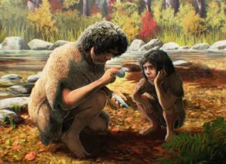 ਮਨੁੱਖਾਂ ਦੇ ਵਿਕਾਸ ‘ਤੇ ਨਵੀਂ ਖੋਜ : 25 ਹਜ਼ਾਰ ਸਾਲ ਪਹਿਲਾਂ ਭਾਰਤ ‘ਚ ਰਹਿੰਦੇ ਸੀ ਦੁਨੀਆ ਦੇ ਅੱਧੇ ਲੋਕ