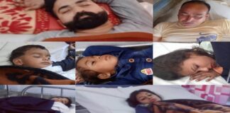 ਲਾੜੇ ਦੀ ਗੱਡੀ ‘ਤੇ ਮਧੂਮੱਖੀਆਂ ਦਾ ਹਮਲਾ, 7 ਬਰਾਤੀ ਹੋਏ ਸ਼ਿਕਾਰ