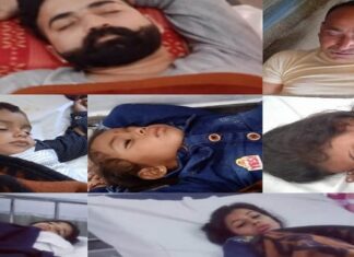 ਲਾੜੇ ਦੀ ਗੱਡੀ ‘ਤੇ ਮਧੂਮੱਖੀਆਂ ਦਾ ਹਮਲਾ, 7 ਬਰਾਤੀ ਹੋਏ ਸ਼ਿਕਾਰ