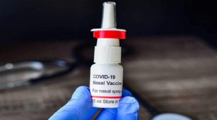 ਕੋਰੋਨਾ ਦੀ ਪਹਿਲੀ ਨੇਜ਼ਲ ਵੈਕਸੀਨ ਦੀ ਕੀਮਤ ਤੈਅ, ਜਾਣੋਂ ਸਰਕਾਰੀ ਤੇ ਪ੍ਰਾਈਵੇਟ ਹਸਪਤਾਲਾਂ ‘ਚ ਕਿੰਨੇ ਦੀ ਲੱਗੇਗੀ ਵੈਕਸੀਨ