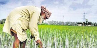 ਅਹਿਮ ਖਬਰ : ਪੰਜਾਬ ਦੇ 15 ਲੱਖ ਕਿਸਾਨਾਂ ਨੂੰ ਨਹੀਂ ਮਿਲੇਗਾ PM ਕਿਸਾਨ ਸਨਮਾਨ ਨਿਧੀ ਯੋਜਨਾ ਦਾ ਲਾਭ, ਜਾਣੋ ਕਾਰਨ