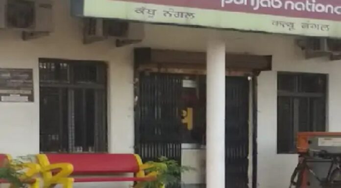 ਅੰਮ੍ਰਿਤਸਰ ‘ਚ ਵੱਡੀ ਵਾਰਦਾਤ : ਬੈਂਕ ‘ਚ ਲੁਟੇਰਿਆਂ ਨੇ ਹਥਿਆਰਾਂ ਦੀ ਨੋਕ ‘ਤੇ ਲੁਟੇ 18 ਲੱਖ, ਮੁਲਾਜ਼ਮਾਂ ਨੂੰ ਬਣਾਇਆ ਬੰਧਕ
