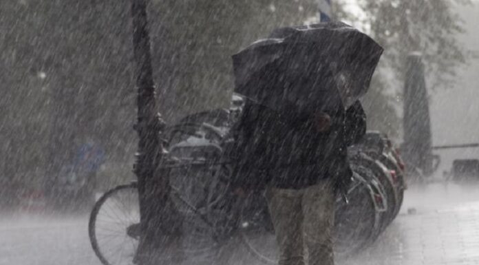 ਨਵੇਂ ਸਾਲ ‘ਤੇ ਮੀਂਹ ਤੇ ਧੁੰਦ ਨਾਲ ਪਵੇਗੀ ਕੜਾਕੇ ਦੀ ਠੰਡ, ਪੜ੍ਹੋ ਕਿੱਥੇ-ਕਿੱਥੇ ਪਵੇਗੀ ਬਾਰਿਸ਼