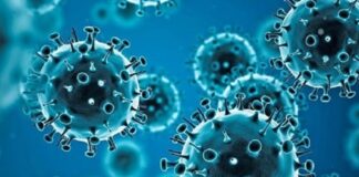 ਤਾਜ ਮਹਿਲ ਵੇਖਣ ਆਇਆ ਵਿਦੇਸ਼ੀ ਸੈਲਾਨੀ ਨਿਕਲਿਆ ਕੋਰੋਨਾ ਪਾਜ਼ੀਟਿਵ, ਹੋਇਆ ਗਾਇਬ, ਭਾਲ ਜਾਰੀ