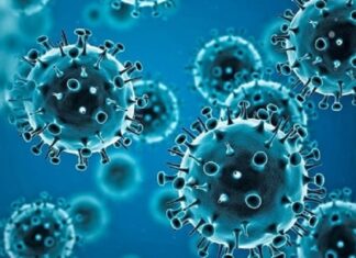 ਤਾਜ ਮਹਿਲ ਵੇਖਣ ਆਇਆ ਵਿਦੇਸ਼ੀ ਸੈਲਾਨੀ ਨਿਕਲਿਆ ਕੋਰੋਨਾ ਪਾਜ਼ੀਟਿਵ, ਹੋਇਆ ਗਾਇਬ, ਭਾਲ ਜਾਰੀ