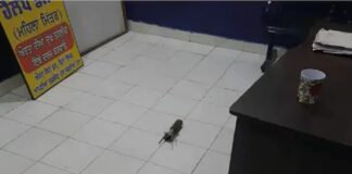 ਤਰਨਤਾਰਨ ‘ਚ ਪੁਲਿਸ ਥਾਣੇ ‘ਤੇ ਰਾਕੇਟ ਲਾਂਚਰ ਨਾਲ ਹਮਲਾ, ਜਾਨੀ ਨੁਕਸਾਨ ਤੋਂ ਰਿਹਾ ਬਚਾਅ