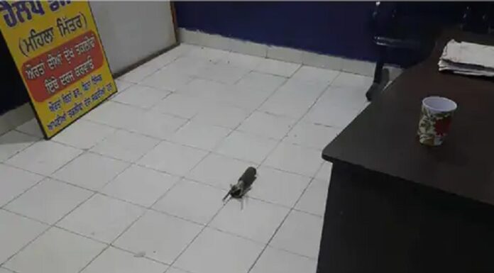 ਤਰਨਤਾਰਨ ‘ਚ ਪੁਲਿਸ ਥਾਣੇ ‘ਤੇ ਰਾਕੇਟ ਲਾਂਚਰ ਨਾਲ ਹਮਲਾ, ਜਾਨੀ ਨੁਕਸਾਨ ਤੋਂ ਰਿਹਾ ਬਚਾਅ