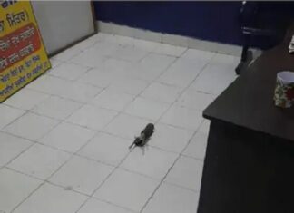 ਤਰਨਤਾਰਨ ਹਮਲਾ : ਸਰਹਾਲੀ ਥਾਣੇ ਦੇ SHO ਦਾ ਤਬਾਦਲਾ, NIA ਨੇ ਸ਼ੁਰੂ ਕੀਤੀ ਜਾਂਚ, 7 ਸ਼ੱਕੀ ਕਾਬੂ