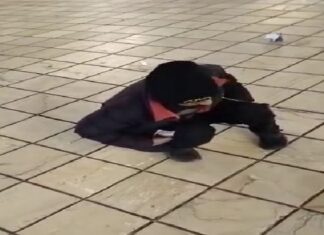 ਸ੍ਰੀ ਹਰਮਿੰਦਰ ਸਾਹਿਬ ਦੇ ਰਸਤੇ ‘ਤੇ ਮਿਲਿਆ ਨਸ਼ੇ ‘ਚ ਰੱਜਿਆ ਨੌਜਵਾਨ, ਵੀਡੀਓ ਵਾਇਰਲ