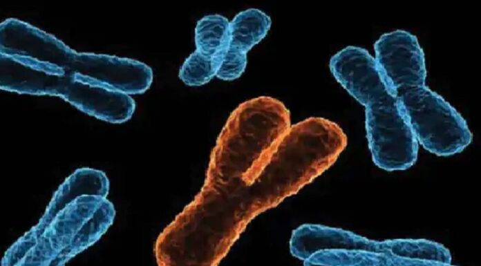 ਖੋਜ ‘ਚ ਦਾਅਵਾ : ਮਰਦ ਦੁਨੀਆ ਤੋਂ ਹੋ ਜਾਣਗੇ ਅਲੋਪ, ਇਨਸਾਨ ਨੂੰ ਮਰਦ ਬਣਾਉਣ ਵਾਲਾ ਜੀਨ ਹੋ ਰਿਹਾ ਖਤਮ