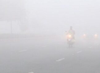 ਪੰਜਾਬ ਹੋਇਆ ਸ਼ਿਮਲਾ ਤੋਂ ਵੀ ਵੱਧ ਠੰਡਾ, ਪੜ੍ਹੋ ਕਿਸ ਤਰੀਕ ਤੋਂ ਮਿਲੇਗੀ ਸਰਦੀ ਤੋਂ ਨਿਜਾਤ